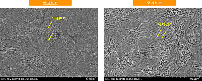 잎 세척 전 및 후의 잎 표면의 미세먼지 SEM 결과