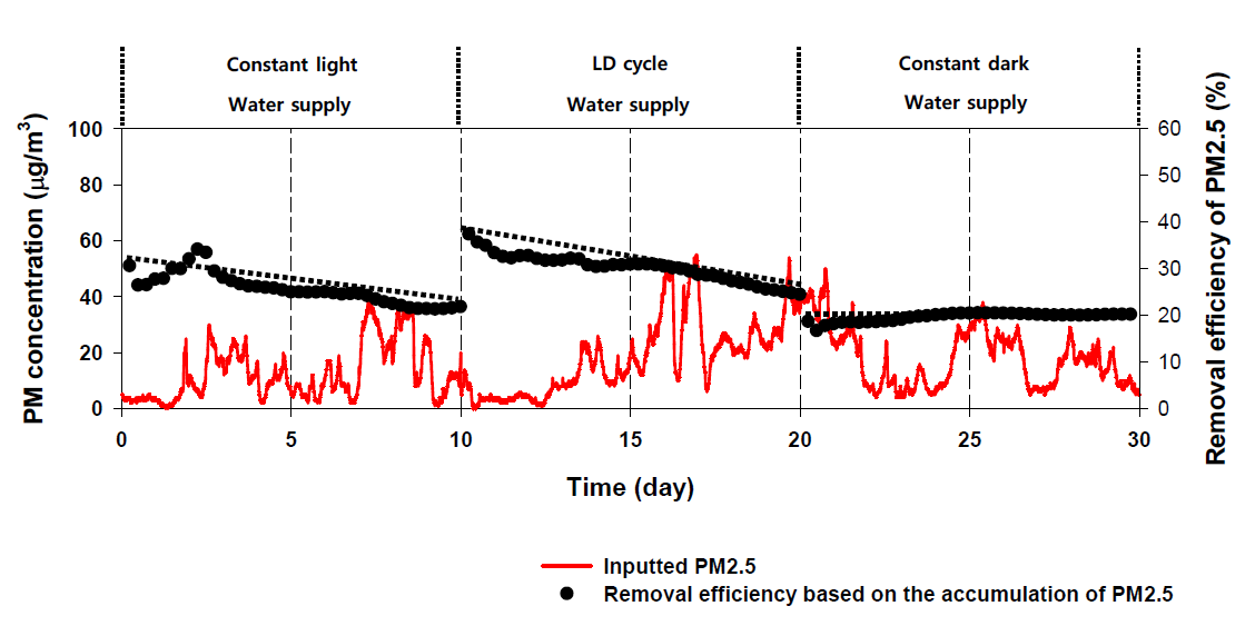 급수 공급과 동시에 광원 공급 유무에 따른 미세먼지 제거 결과 (적용식물: 자금우 (목본성 식물))