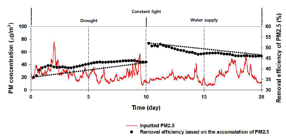 연속광원공급에서 급수 공급 유무에 따른 미세먼지 제거 결과 (적용식물: 아이비 (초본성 식물))