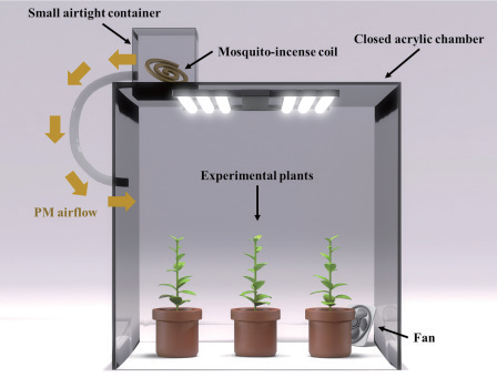 자생식물의 미세먼지 제거능 평가에 사용된 챔버의 디자인 모식도