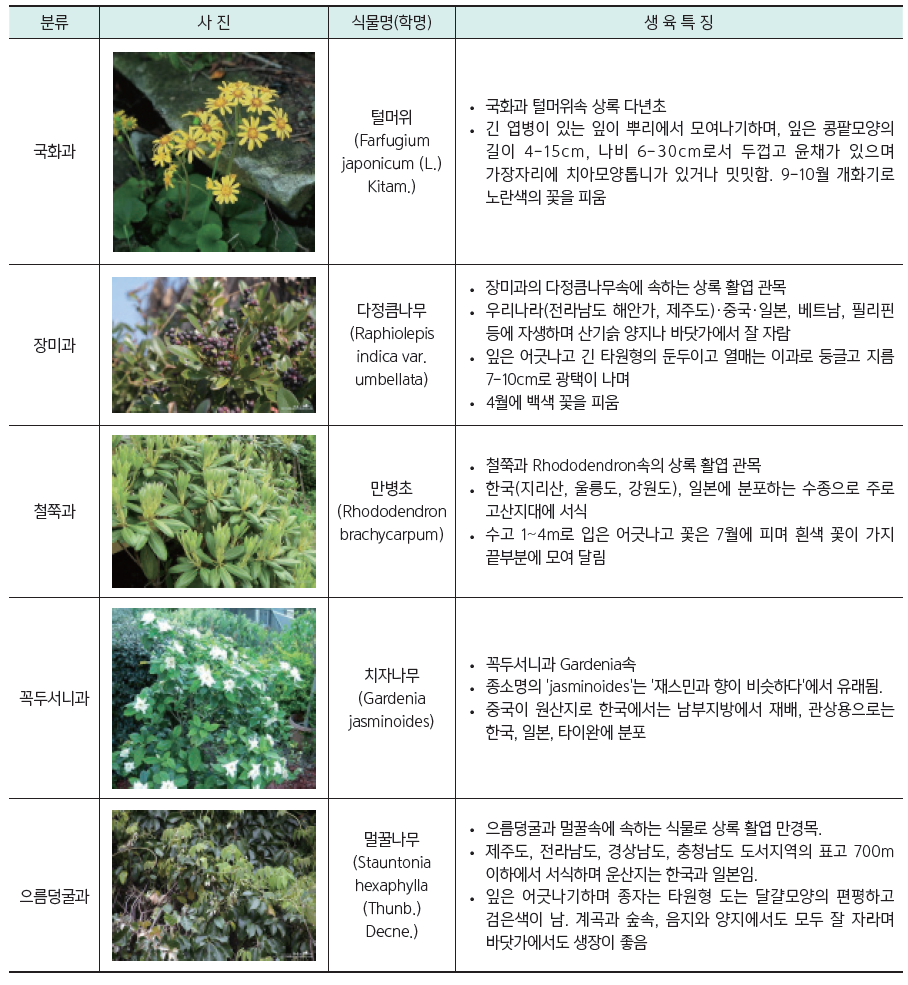 시제품 적용 식물 리스트