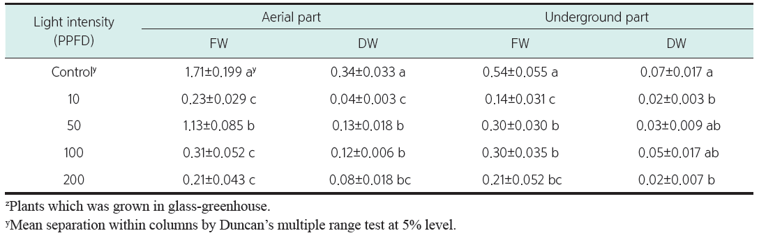 광량에 따른 새깃아재비의 바이오매스 함량