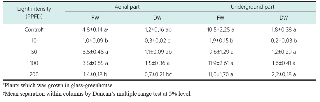 광량에 따른 별고사리의 바이오매스 함량