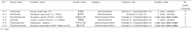 실내 저광도 생육 우수종의 미세먼지 제거능 탐색에 사용된 식물재료 정보 (1차년도 선발종 – 초본식물)