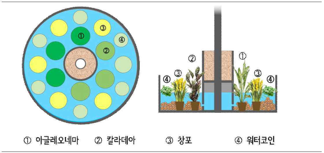 수경식물 배식도