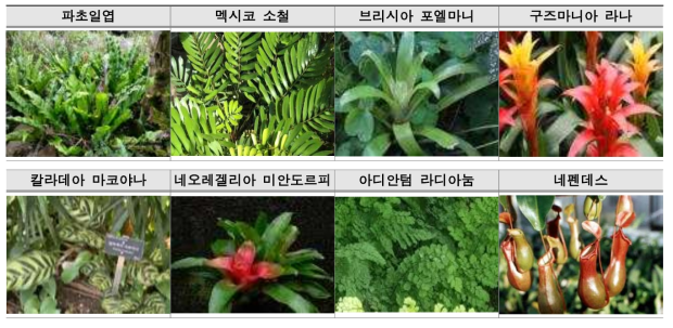 여미지식물원의 주요 식물종