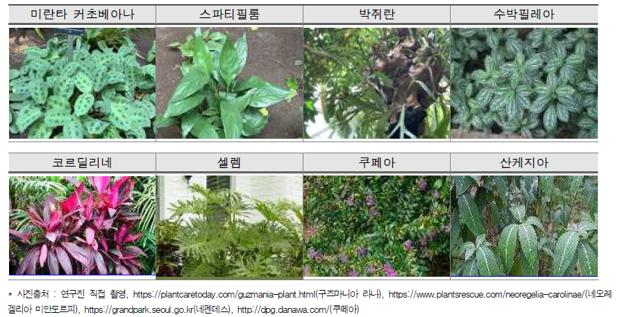 여미지식물원의 주요 식물종(계속)