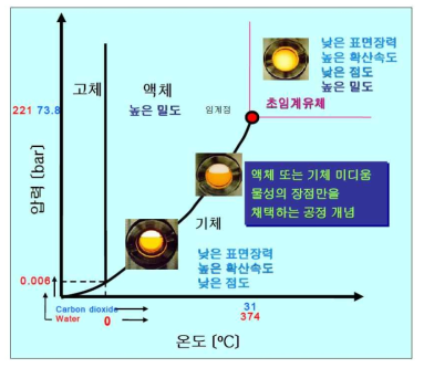 상전이 그래프 및 특성