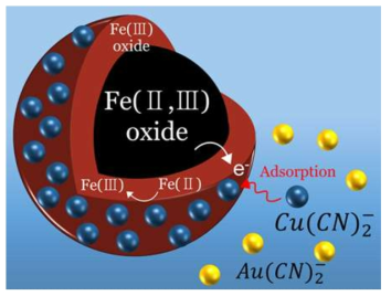 자철석에 의한 선택적인 구리의 흡착