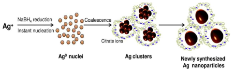 Ag이온 환원을 통한 Ag 입자 제조 기술