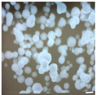 Hydroquinone사용