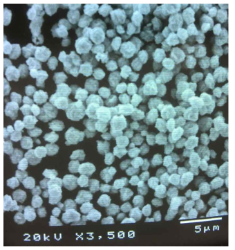 Iron(Ⅱ) sulfate heptahydrate 사용