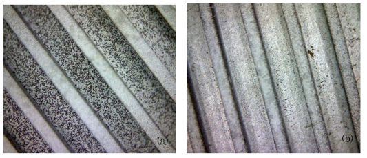사이클론 전해시험 후의 전극 표면, (a) STS 양극 (b) 백금코팅 양극