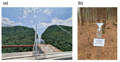 (a) 태화산 생태 타워 꼭대기에서 채취한 강수 시료와 (b) 잣나무림에서 채취한 수관통과우 시료