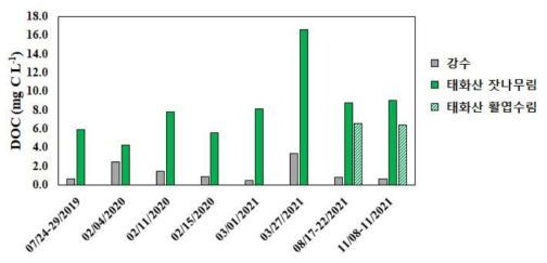 강수와 수관통과우의 용존유기탄소 농도(mg C L-1). 강수는 서울대옥상(2019-2020년) 또는 태화산 생태타워 꼭대기(2021년)에서 채취한 시료임