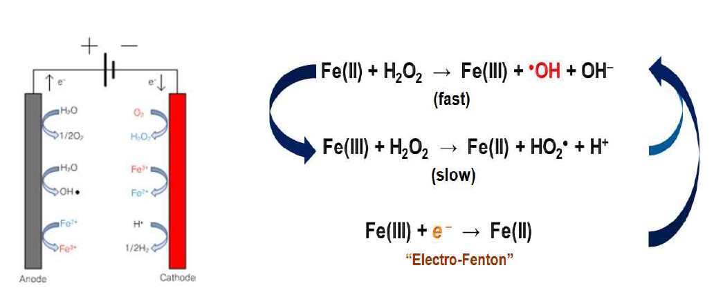 전기화학적 주요 반응(좌) 및 전기펜톤산화 관련 반응식(우)