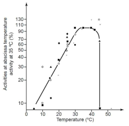 온도가 메탄생성속도에 미치는 영향 (Lettinga et al., 2001)
