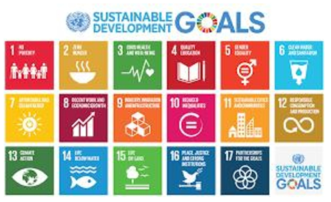 UN 지속가능한 개발목표 (SDGs)