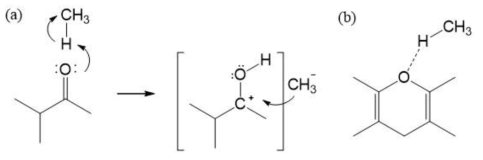 탄소 표면에 존재하는 산소종 (quinone(a), epoxy (b))에 따른 반응 매커니즘 차이
