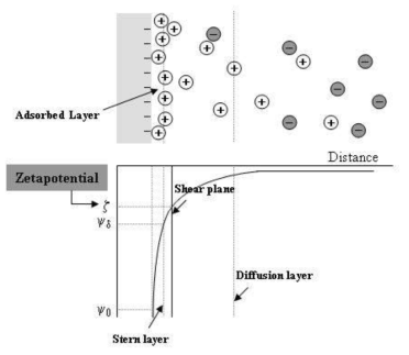 입자 표면전하에 따른 제타포텐셜 구배