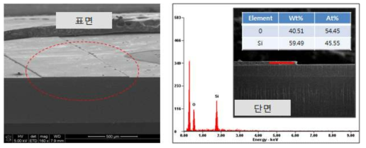 용출 후 유리 기판 표면에 잔존하는 띠의 미세구조 및 성분 분석 결과