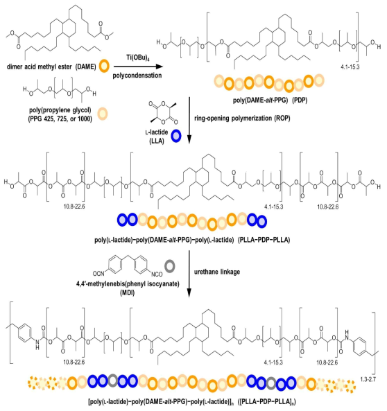 Synthetic scheme of polyester-urethane elastomer