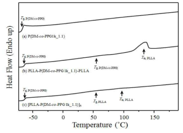 합성 폴리에스테르, 블록 폴리에스테르, 폴리 우레탄의 DSC thermograms