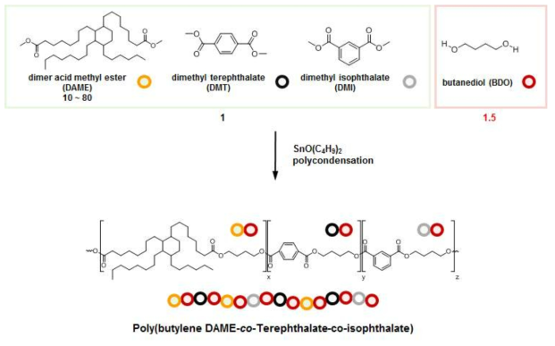다이머산 메틸 에스테르 활용 Scale-up 폴리에스테르 C의 합성 과정