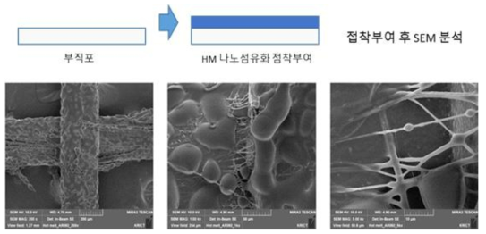 접착 부여 후 SEM 사진