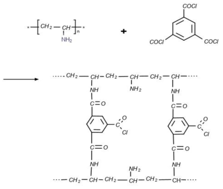 Reaction mechanism between PVAm and Trimesoyl chloride(TMC)