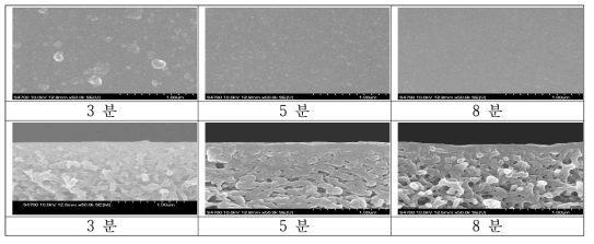 PSSA-MA의 코팅 시간에 따른 막의 표면(위)과 단면(아래)