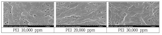 PEI농도에 따른 막 표면