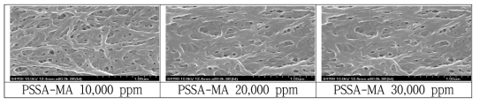 PSSA-MA의 농도에 따른 막 표면