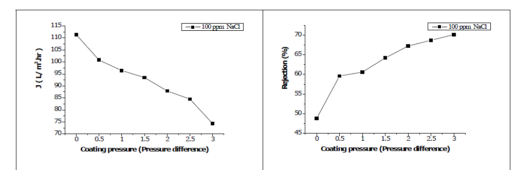 PEI 10,000 ppm coating for 1 분. (feed NaCl 100ppm, working pressure 4bar, 이온세기 0.1 (Mg(NO3)2·6H2O)