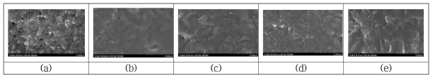 PVDF-PSSA/PEI NF막의 표면 SEM 사진 (30000ppm PSSA, 10000ppm PEI, I.S 0.1)