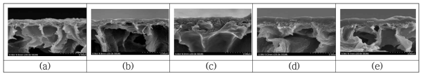 PVDF-PSSA/PEI NF막의 단면 SEM 사진 (30000ppm PSSA, 10000ppm PEI, I.S 0.1Mg)