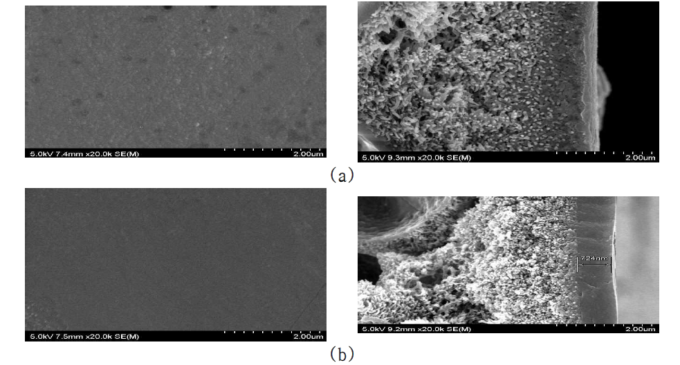 FE-SEM images of membrane. (a) Surface and cross section of pristine PAN membrane. (b) Surface and cross section of coated PAN membrane