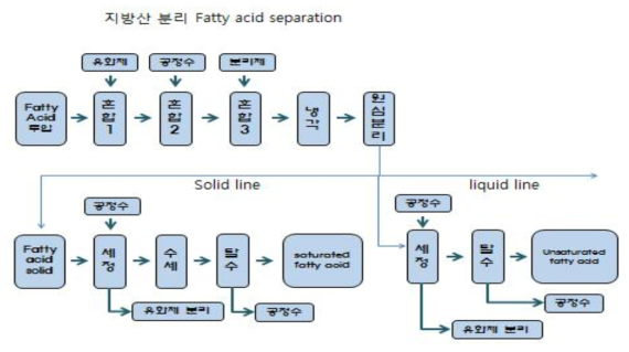 (동물유/팜유) 활용 고순도 불포화 지방산(UN-FA) 분리 및 정제 공정도