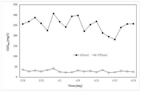 섬유염색폐수에 대한 MBR Pilot 운영기간동안 CODMn 처리 특성