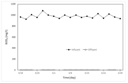 섬유염색폐수에 대한 MBR Pilot 운영기간동안 BOD5 처리 특성