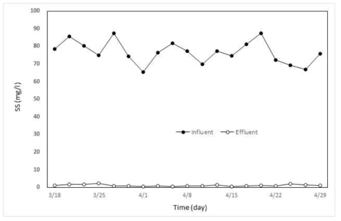 섬유염색폐수에 대한 MBR Pilot 운영기간동안 SS 처리 특성