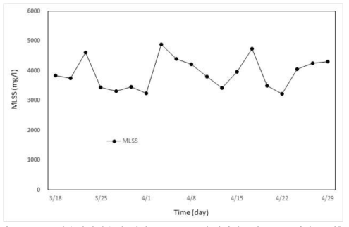 섬유염색폐수에 대한 MBR Pilot 운영기간동안 MLSS 변화 특성