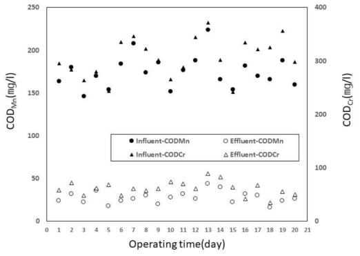 석유화학산업 폐수의 침지식 분리막 MBR 적용 시, COD 처리결과