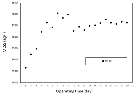 석유화학산업 폐수의 침지식 분리막 MBR 적용 시, MLSS 처리결과