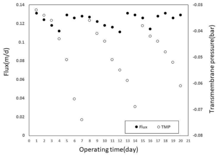 제지산업 폐수의 침지식 분리막 MBR 적용 시, 투과유속 및 차압 측정결과