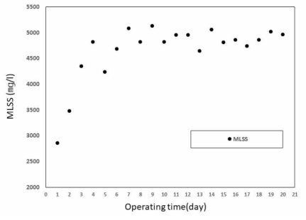 제지산업 폐수의 침지식 분리막 MBR 적용 시, MLSS 측정 결과