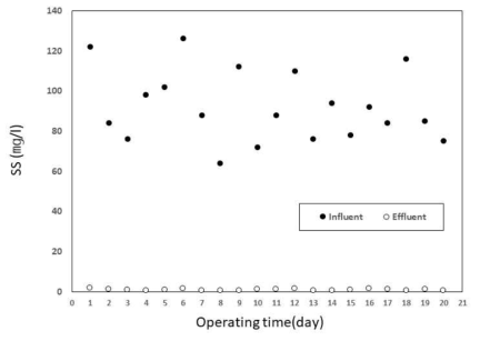 매립장 침출수의 침지식 분리막 MBR 적용 시, SS 처리 결과