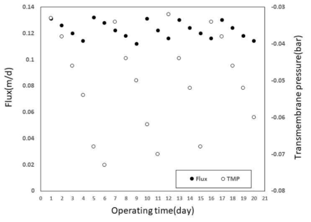 음폐수의 침지식 분리막 MBR 적용 시, 투과유속 및 차압 측정결과