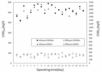 음폐수의 침지식 분리막 MBR 적용 시, COD 처리 결과