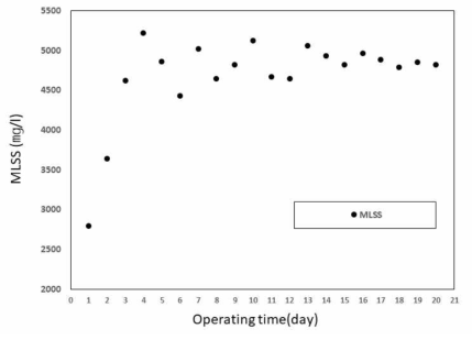 음폐수의 침지식 분리막 MBR 적용 시, MLSS 측정 결과